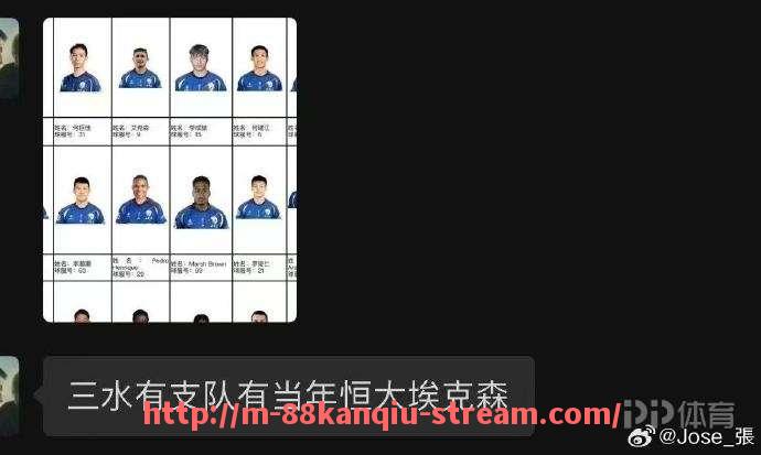 88看球网-哪些非法国本土球队曾在法甲联赛中参赛?(法国队的非洲球员)