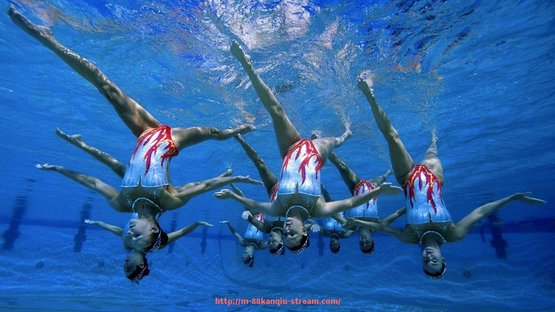 88看球网-1995-1996赛季火箭队阵容与战绩回顾