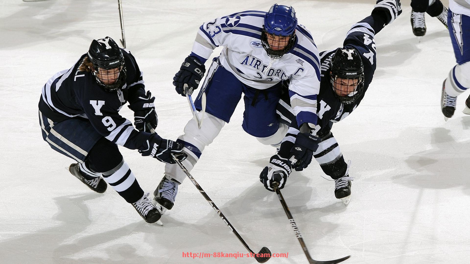 88看球网-CBA球员合同公示机制与权益保障制度解读